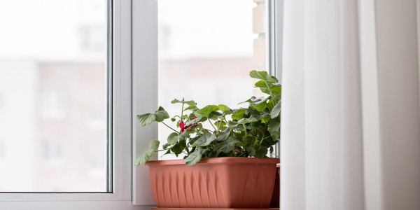 Fabricantes / Instaladores de Puertas y Ventanas de Aluminio / PVC en Hospitalet de Llobregat · Doble Acristalamiento